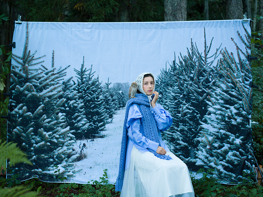 フクロウのいる森